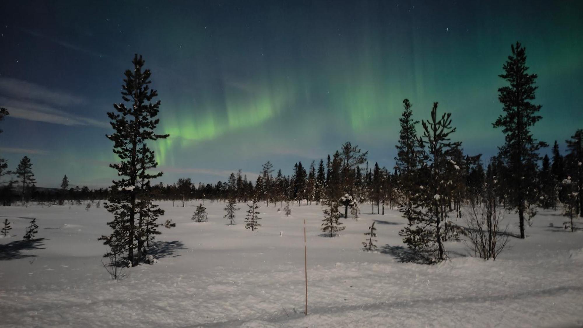 Fulufjellet Hotel Ljordal Bagian luar foto