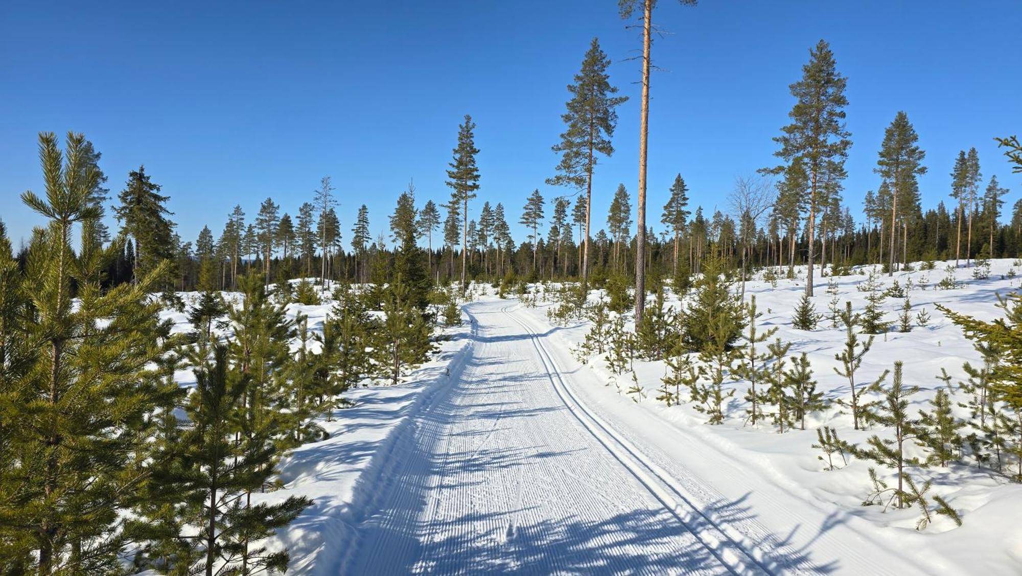 Fulufjellet Hotel Ljordal Bagian luar foto
