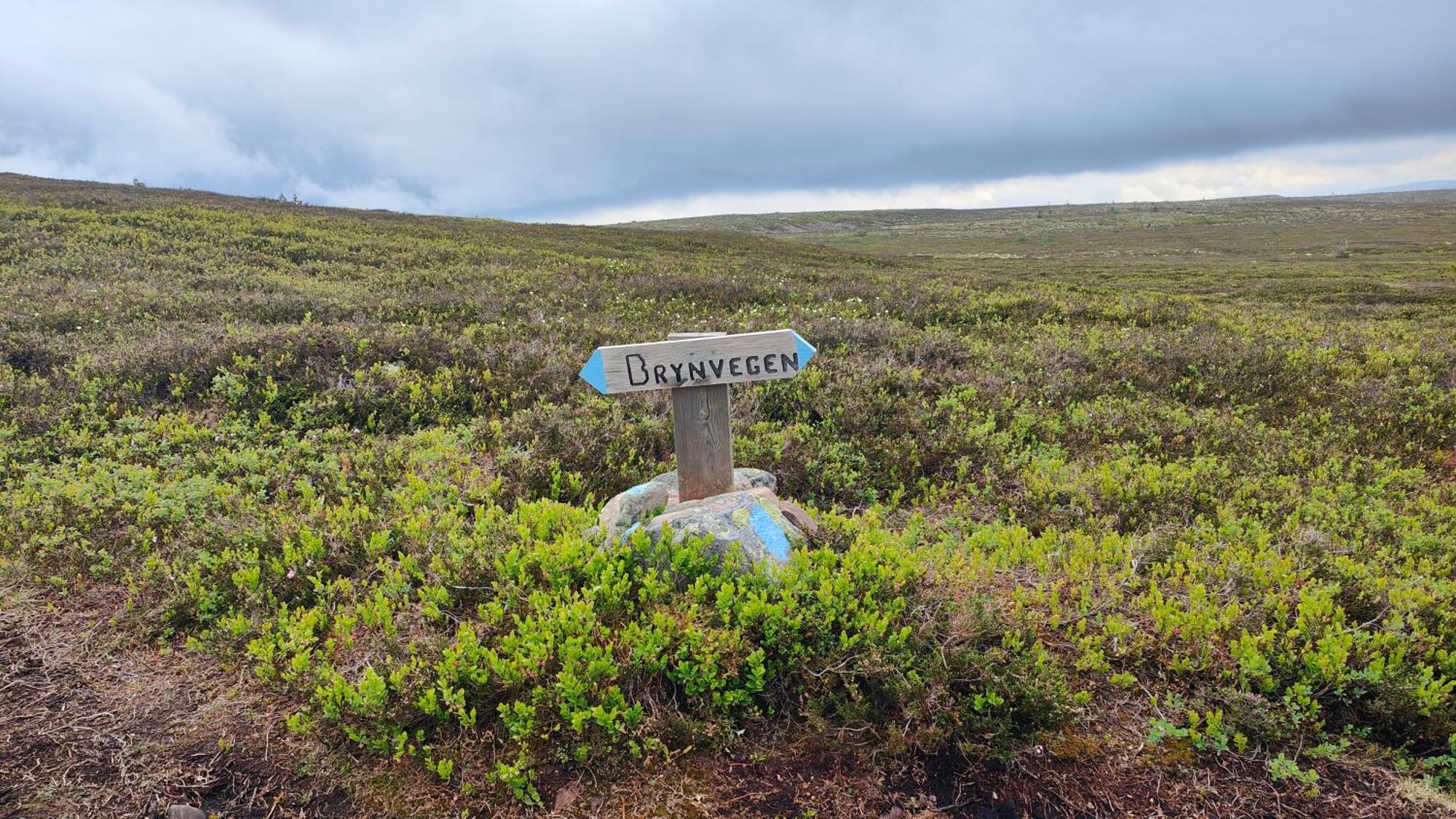 Fulufjellet Hotel Ljordal Bagian luar foto