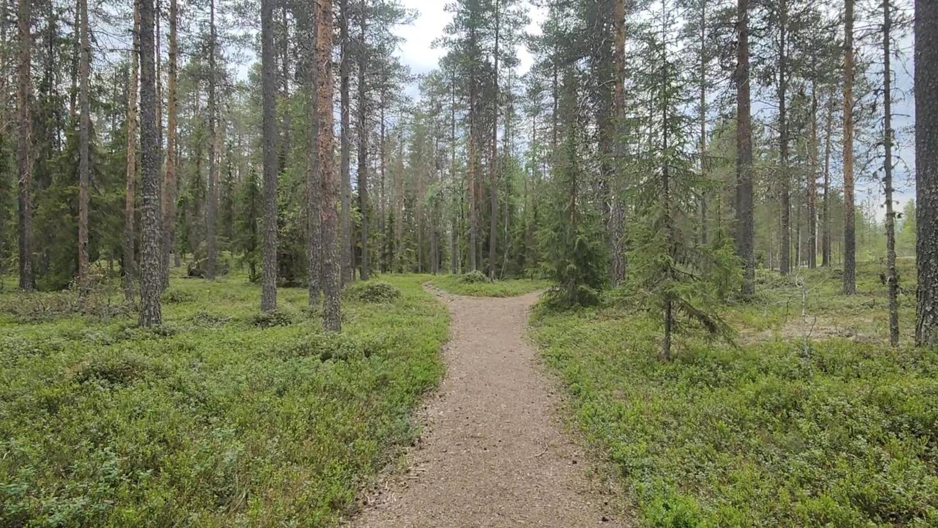 Fulufjellet Hotel Ljordal Bagian luar foto
