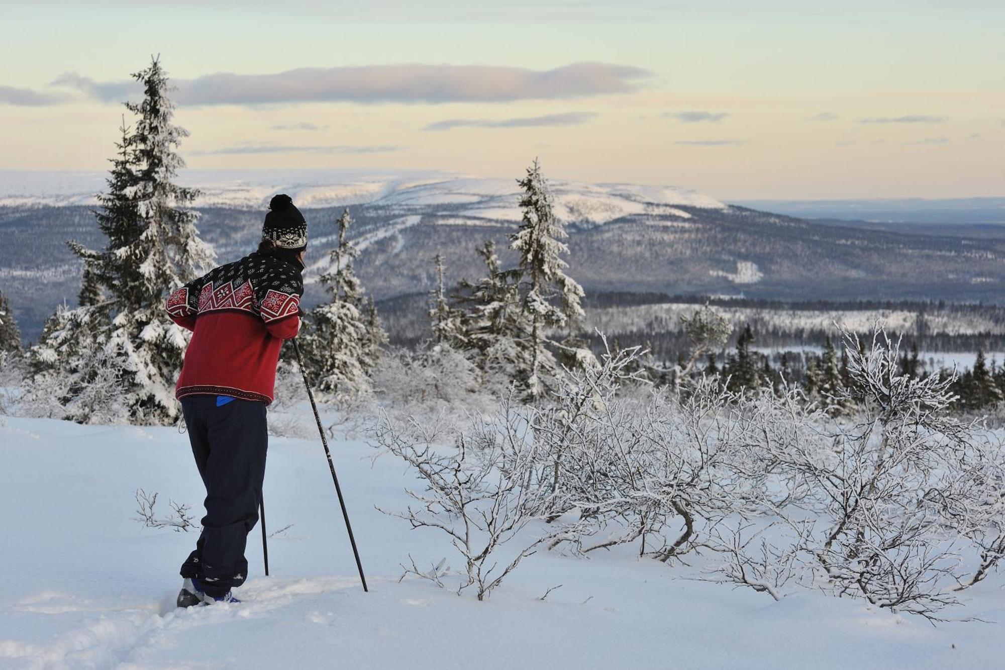 Fulufjellet Hotel Ljordal Bagian luar foto