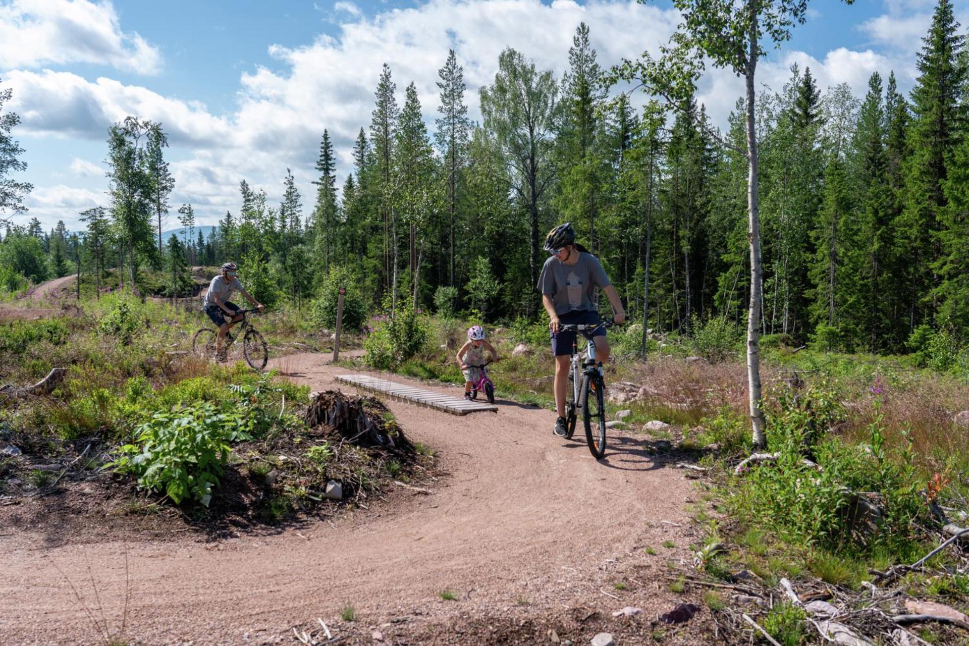 Fulufjellet Hotel Ljordal Bagian luar foto